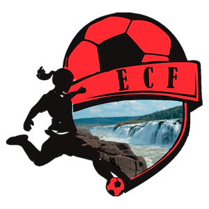 Gauchão Feminino 2025